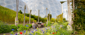 Biomes at The Eden Project 