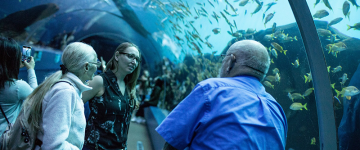 Guests interact with staff member at Georgia Aquarium 