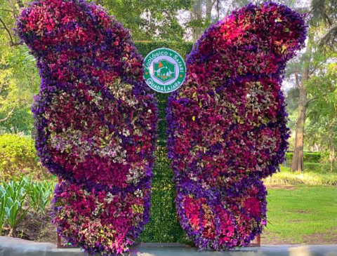Butterfly sculpted from flowers 
