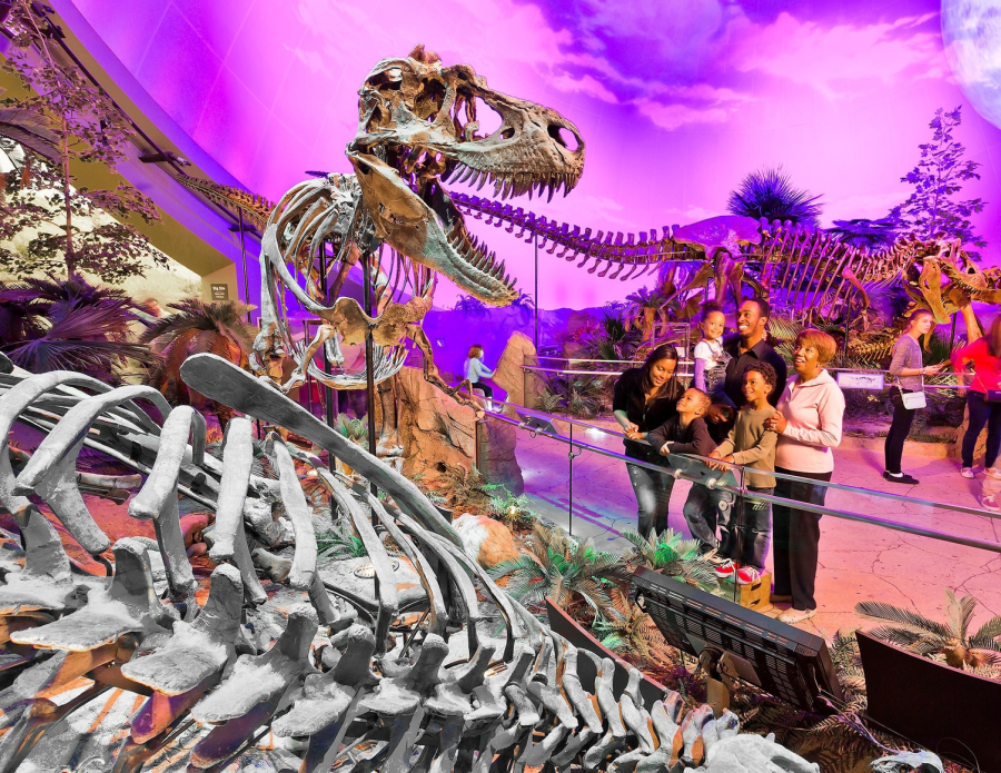 Dinosphere Cinedome Backdrop