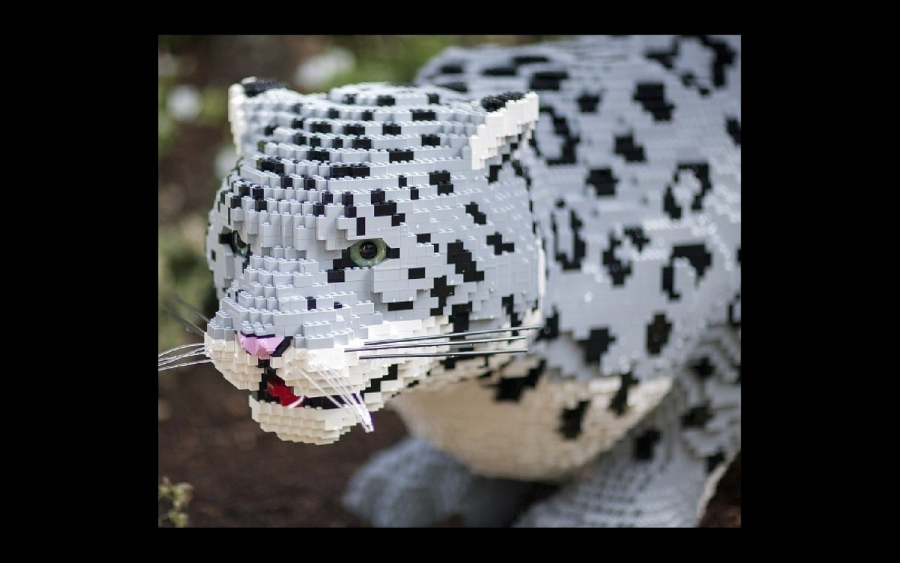 Snow Leopard made of legos at the Denver Zoo