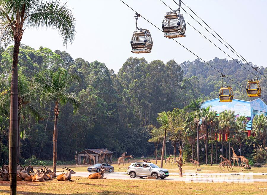 cableway-chimelong